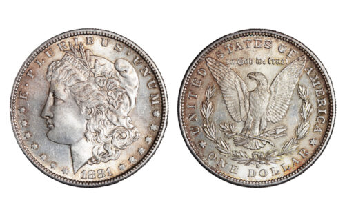 Estados Unidos 1 Dólar 1881 Morgan S EBC+