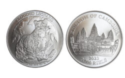 Camboya 3000 Riels 2023 Leopardo PROOF