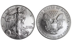 Estados Unidos 1 Dólar 2007 American Eagle SC
