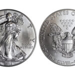 Estados Unidos 1 Dólar 2013 American Eagle SC