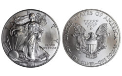 Estados Unidos 1 Dólar 2013 American Eagle SC