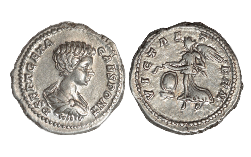 Geta Denario 200-202 d.C. Roma EBC